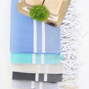 Guest Towel Herringbone 2 Stripes
